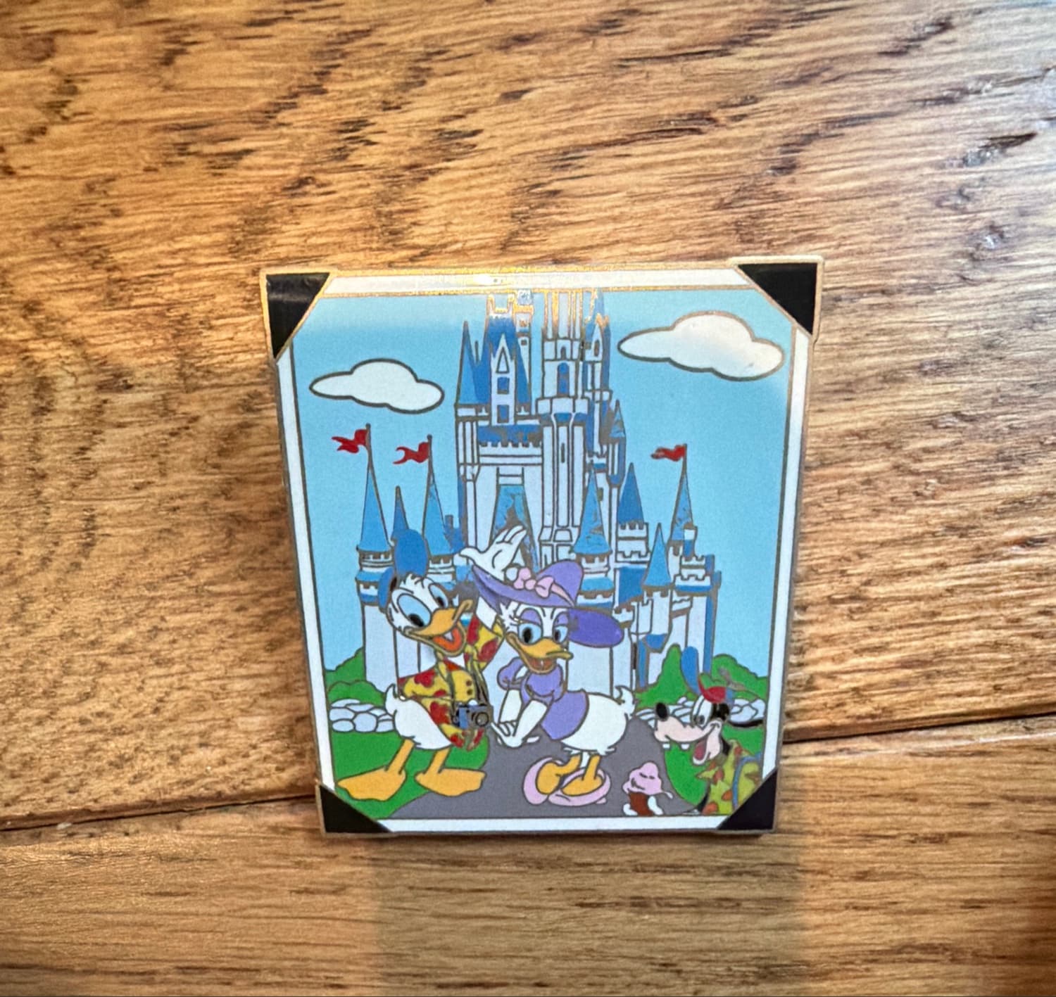 Summer Vacation 2003 Magic Kingdom Donald Daisy Goofy Castle Photo Pin