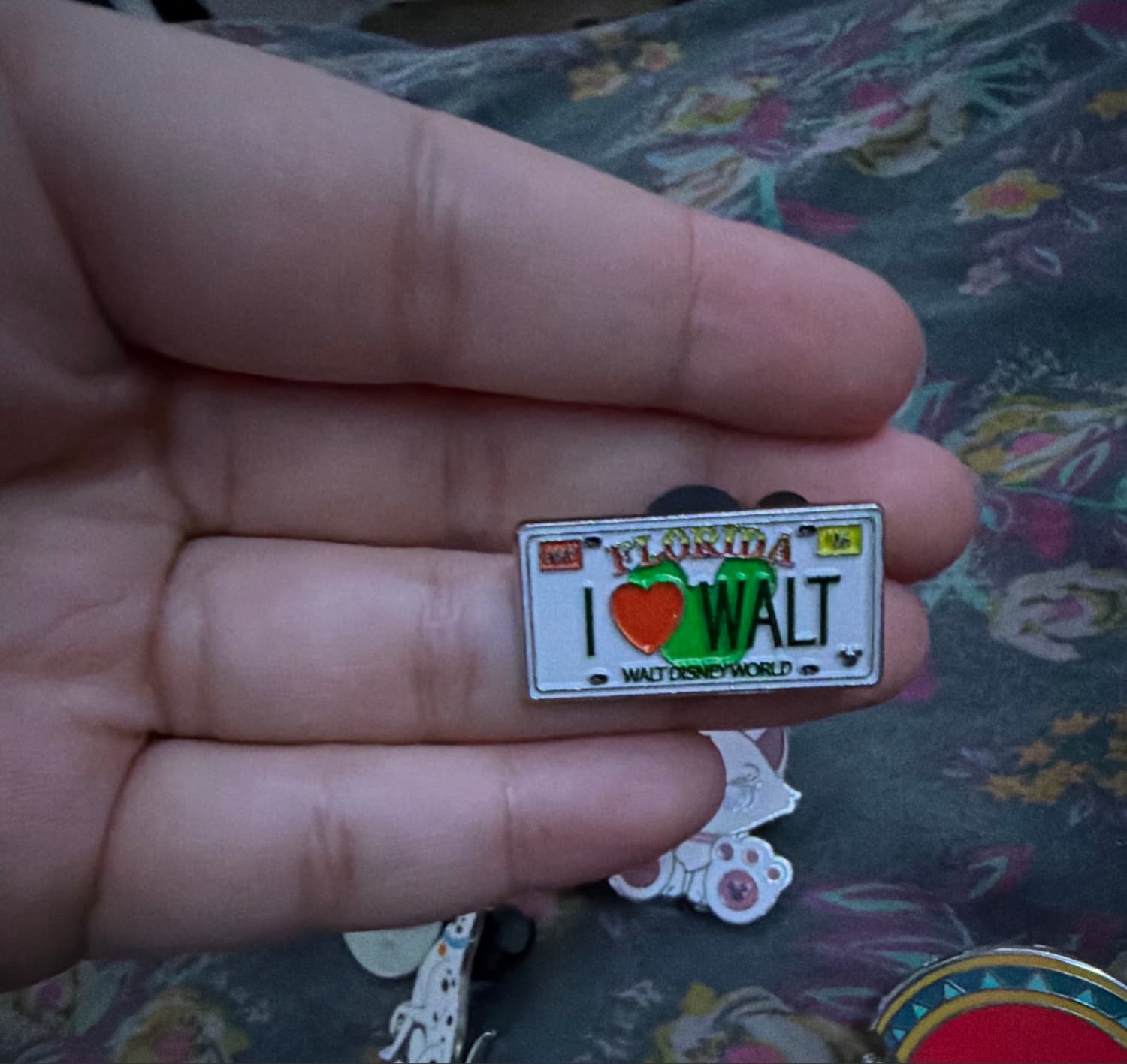 2007 Hidden Mickey - Florida License Plates - I heart Walt