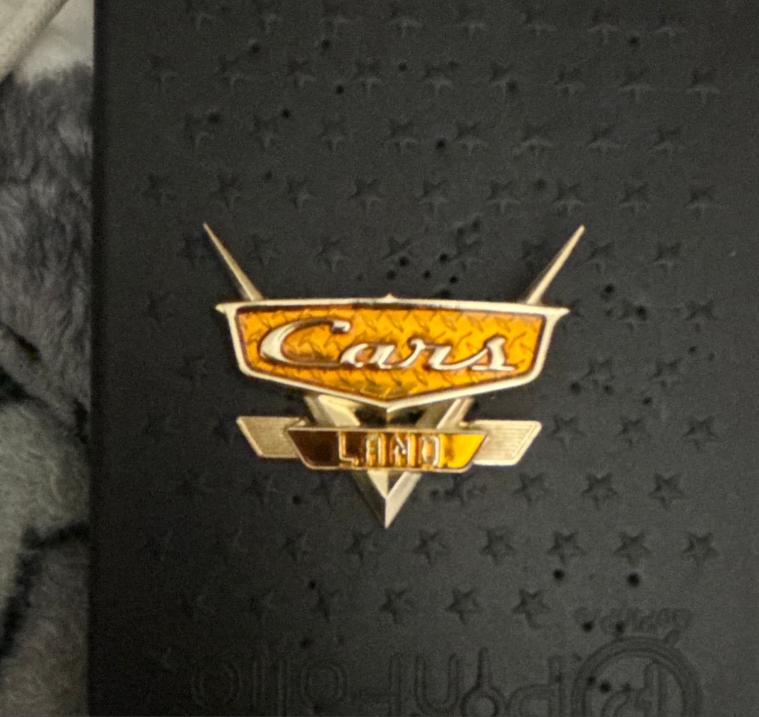 Cars Land Logo front