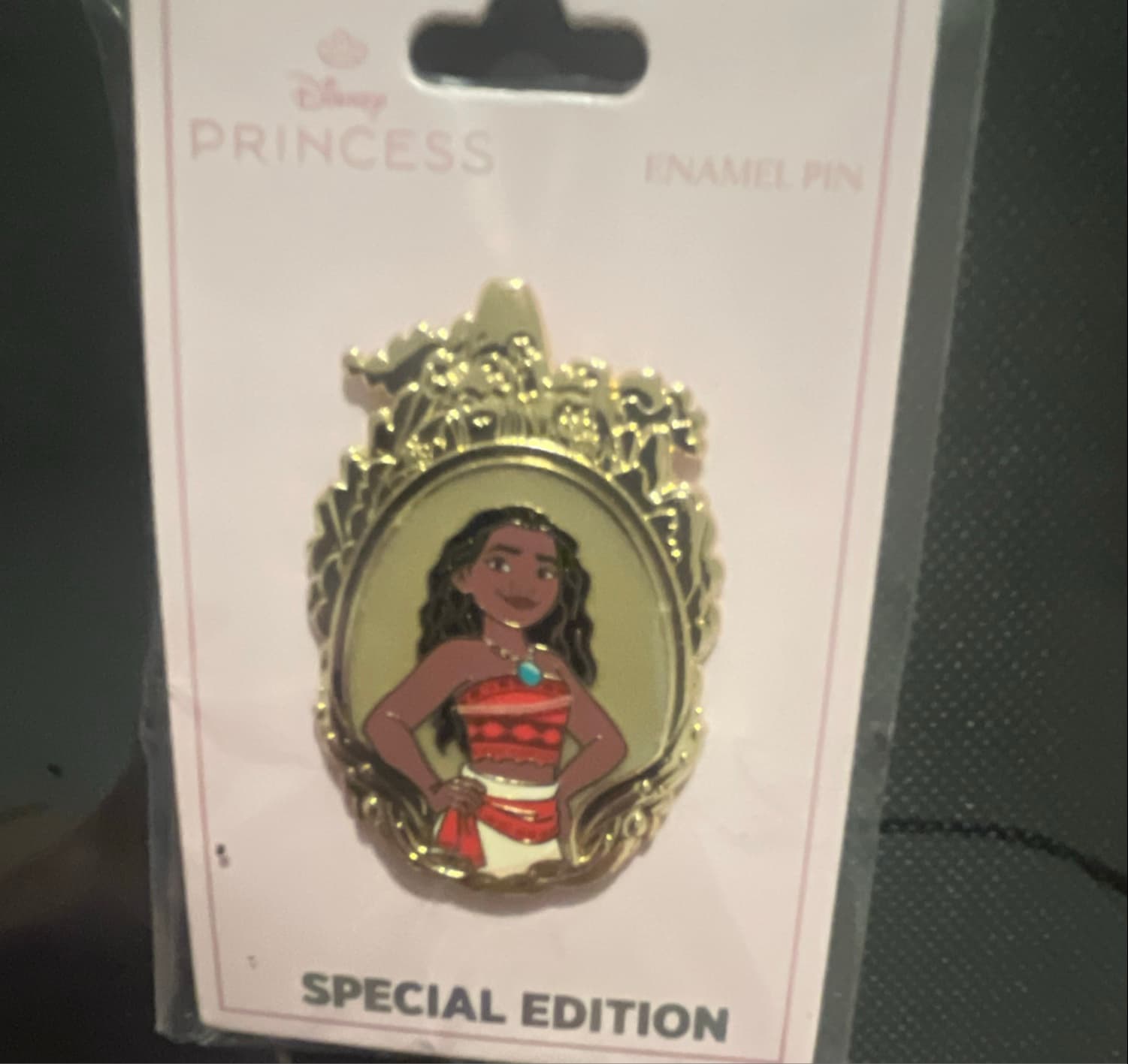Princess Portrait Frame Series