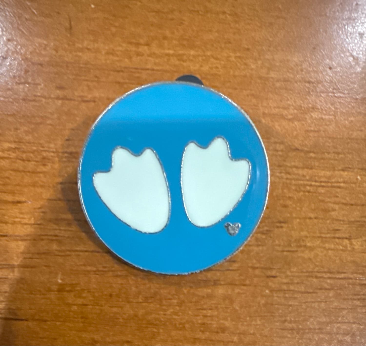 Donald Duck Footprints Hidden Mickey Pin