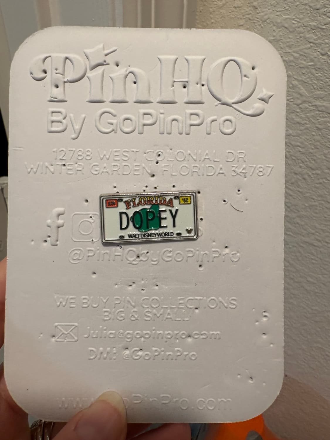 Dopey Florida License Plate Hidden Mickey Pin