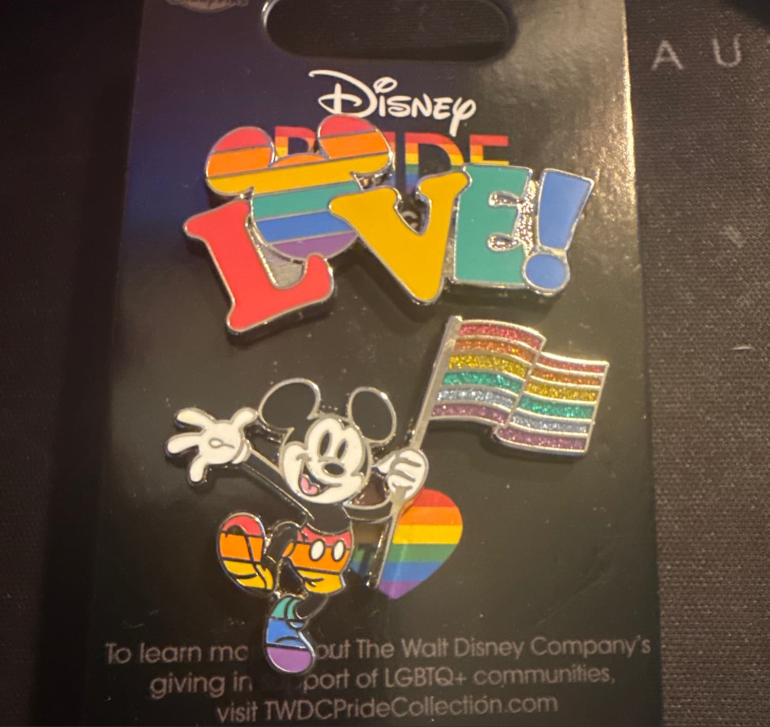 Disney Pride Collection