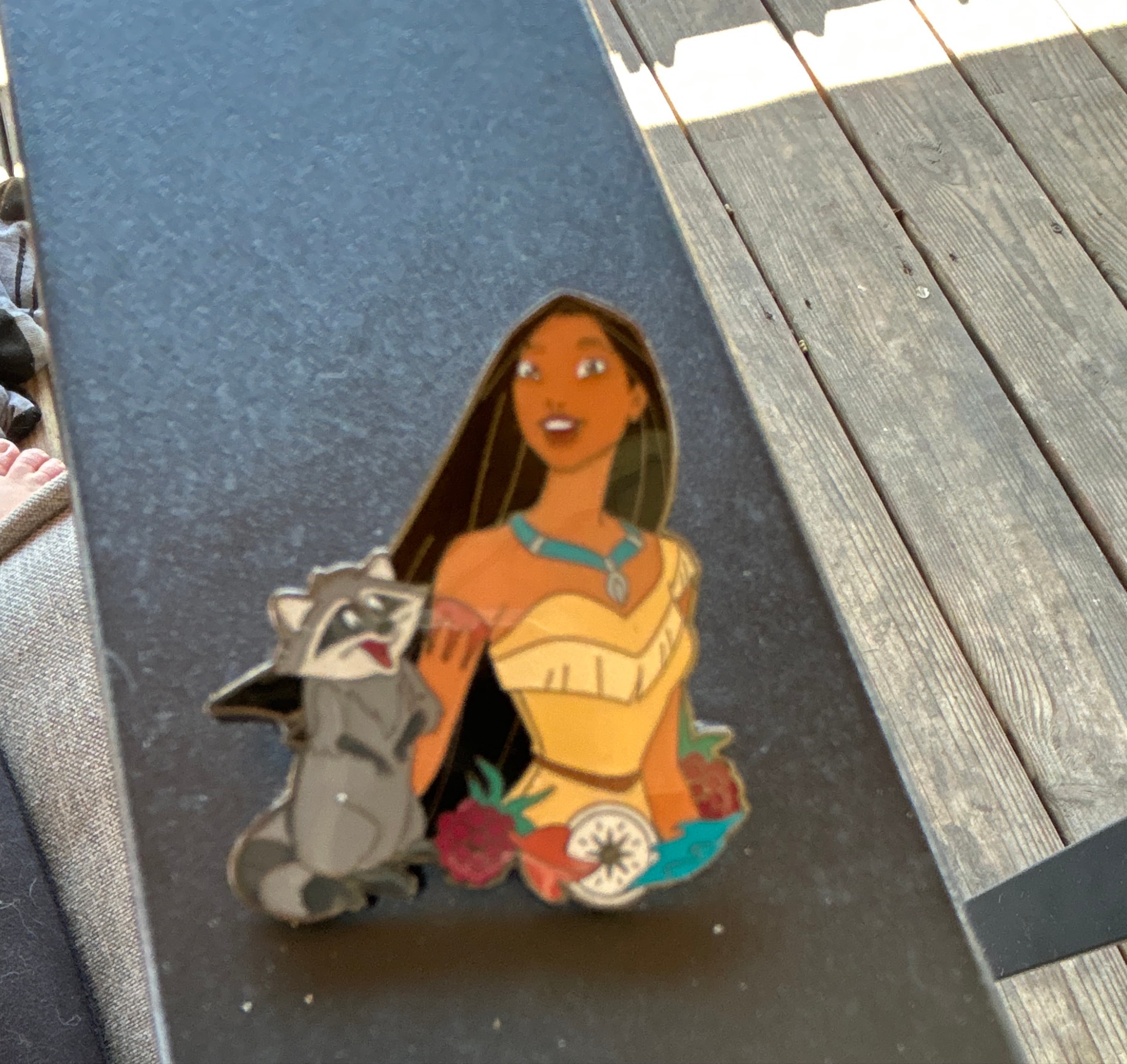 Pocahontas and Meeko - Compass - Princess and Sidekick - Mystery