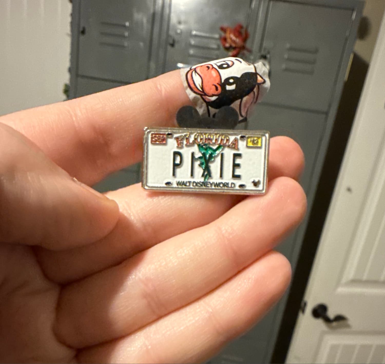 Disney License Plates