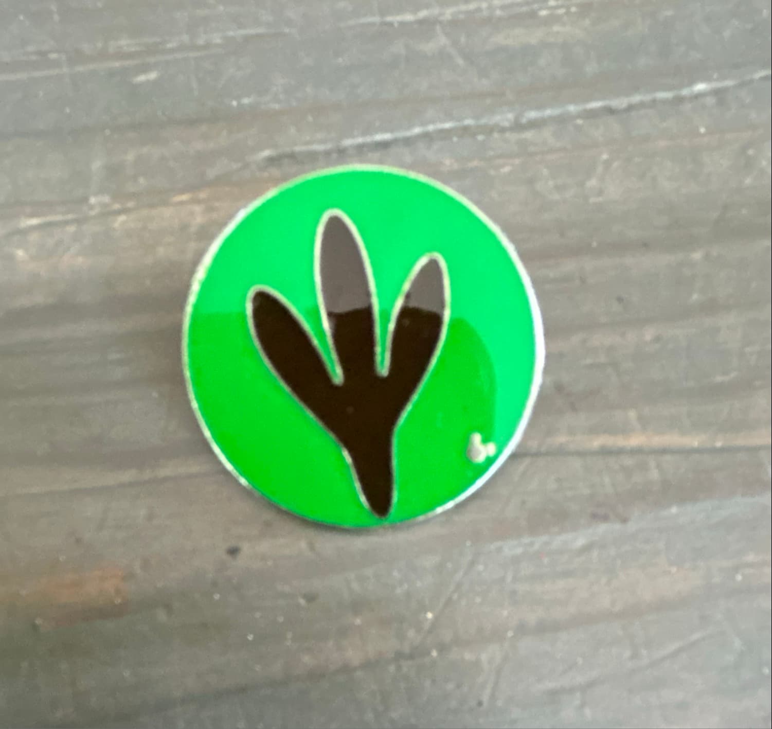 Goofy Green Footprint Hidden Mickey Pin (3 of 4)