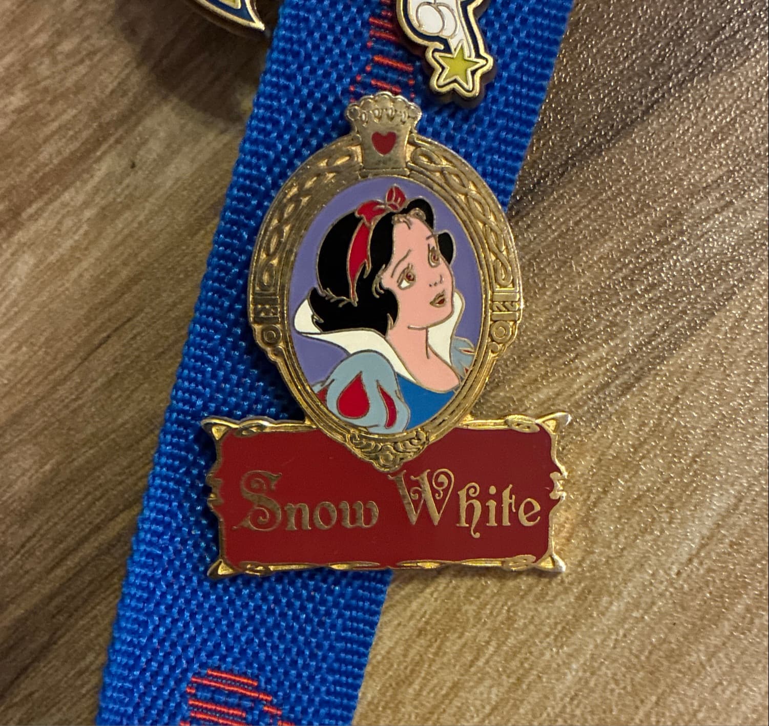 Disney Princess Portrait Pin Series