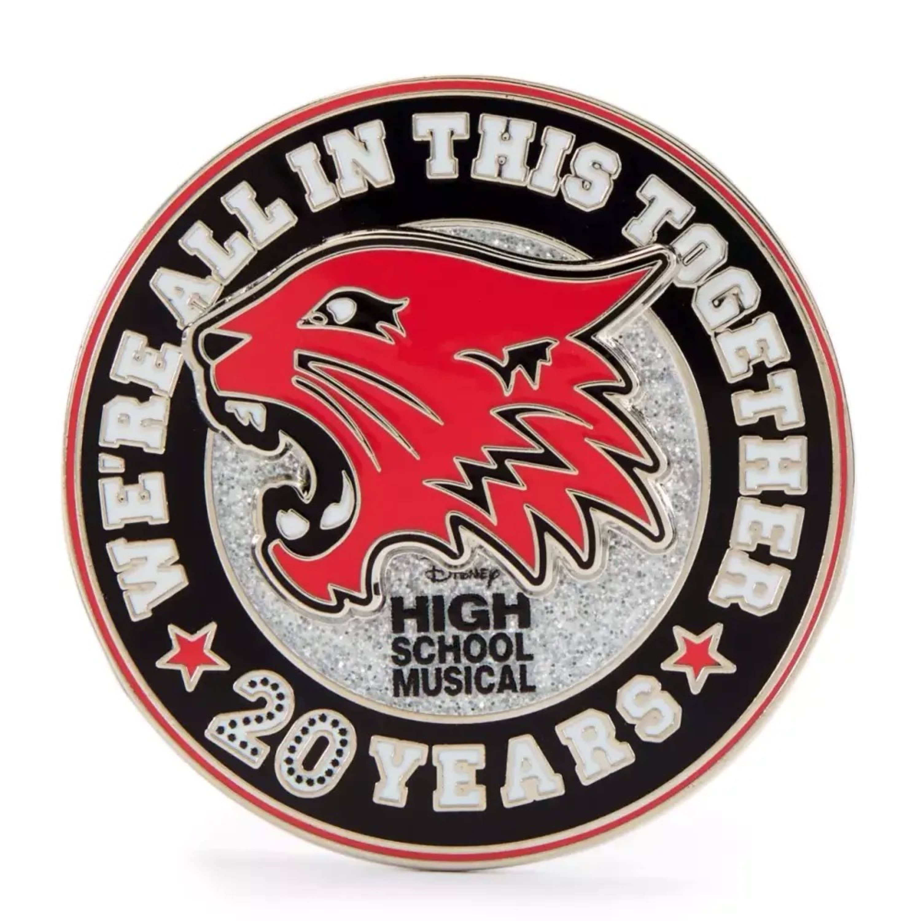 We’re All in This Together 20 Years