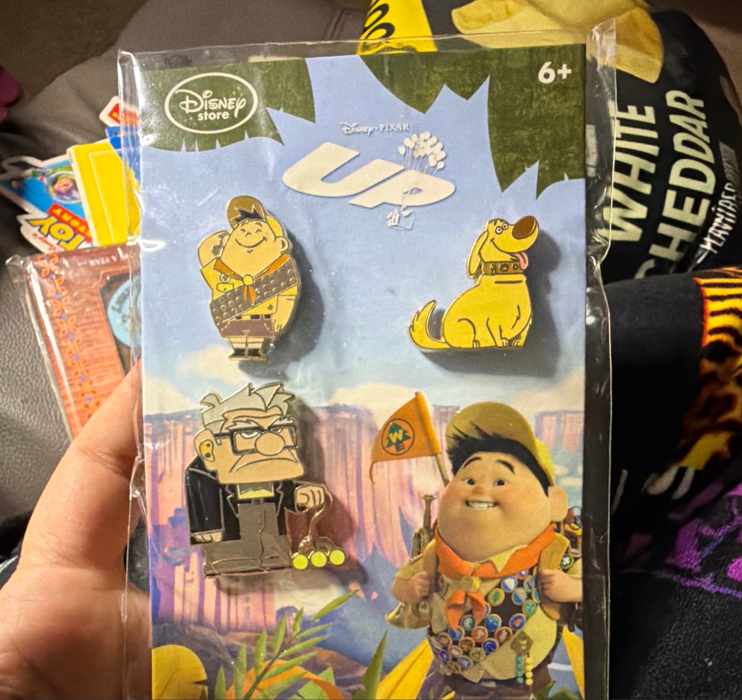 Disney Pixar Up