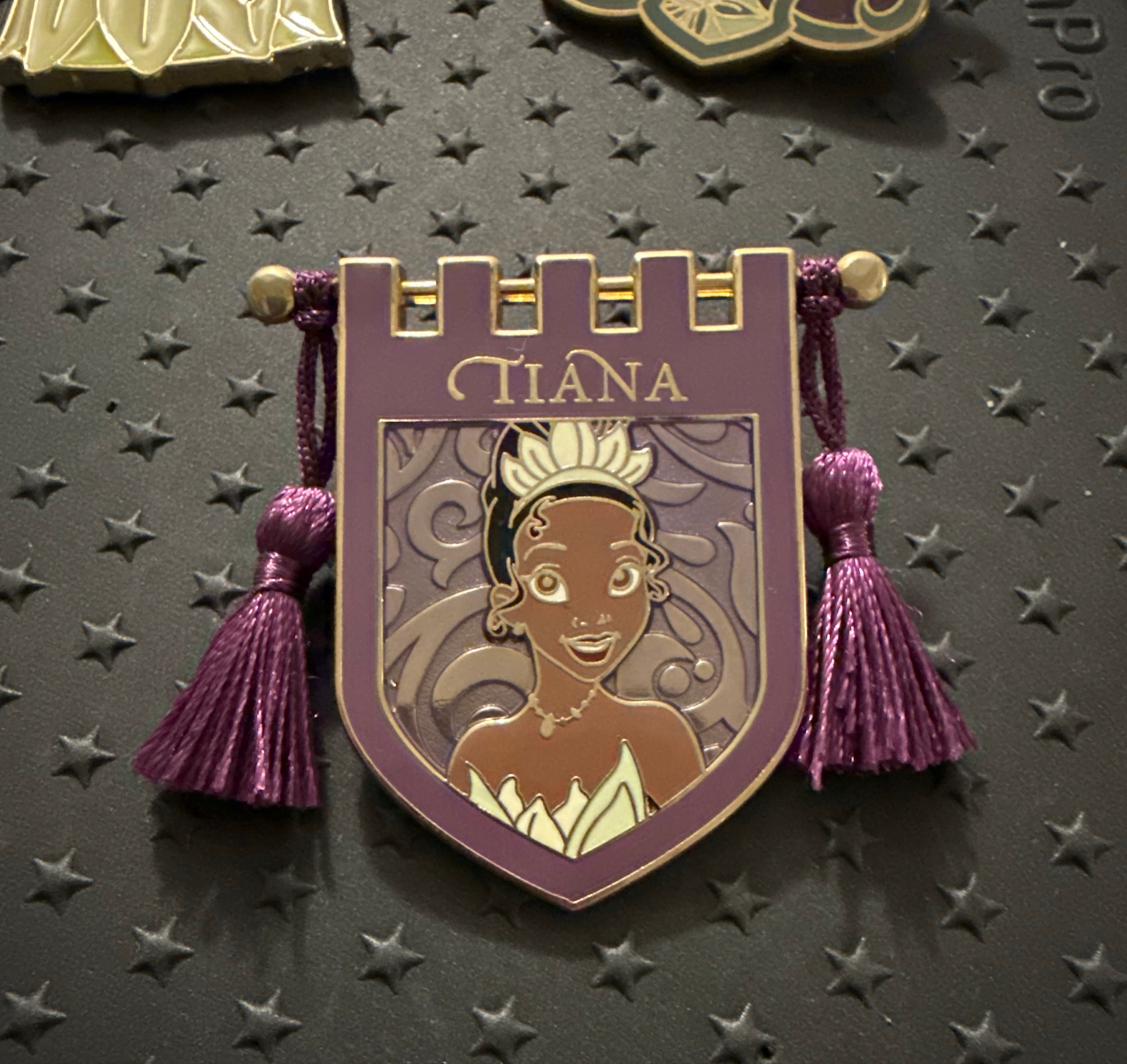 Princess Tiana Crest Banner with Tassels
