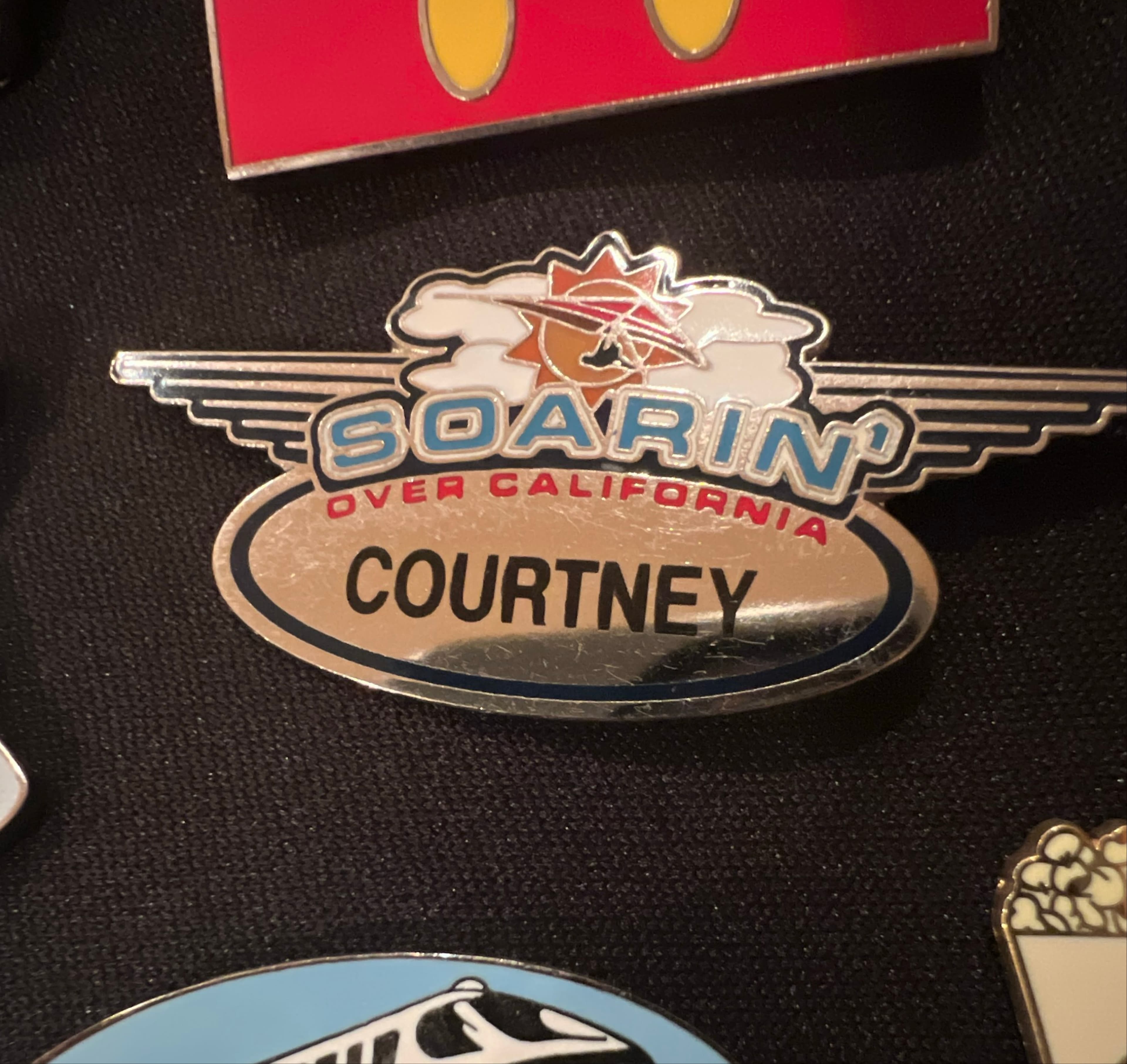 Soarin' Over California Personalized Name Tag - Courtney