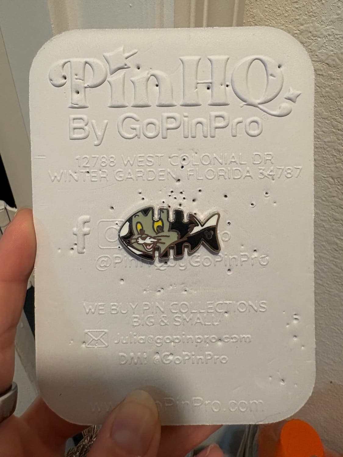 Hidden Mickey Cat Fish Bone Figaro Pinocchio