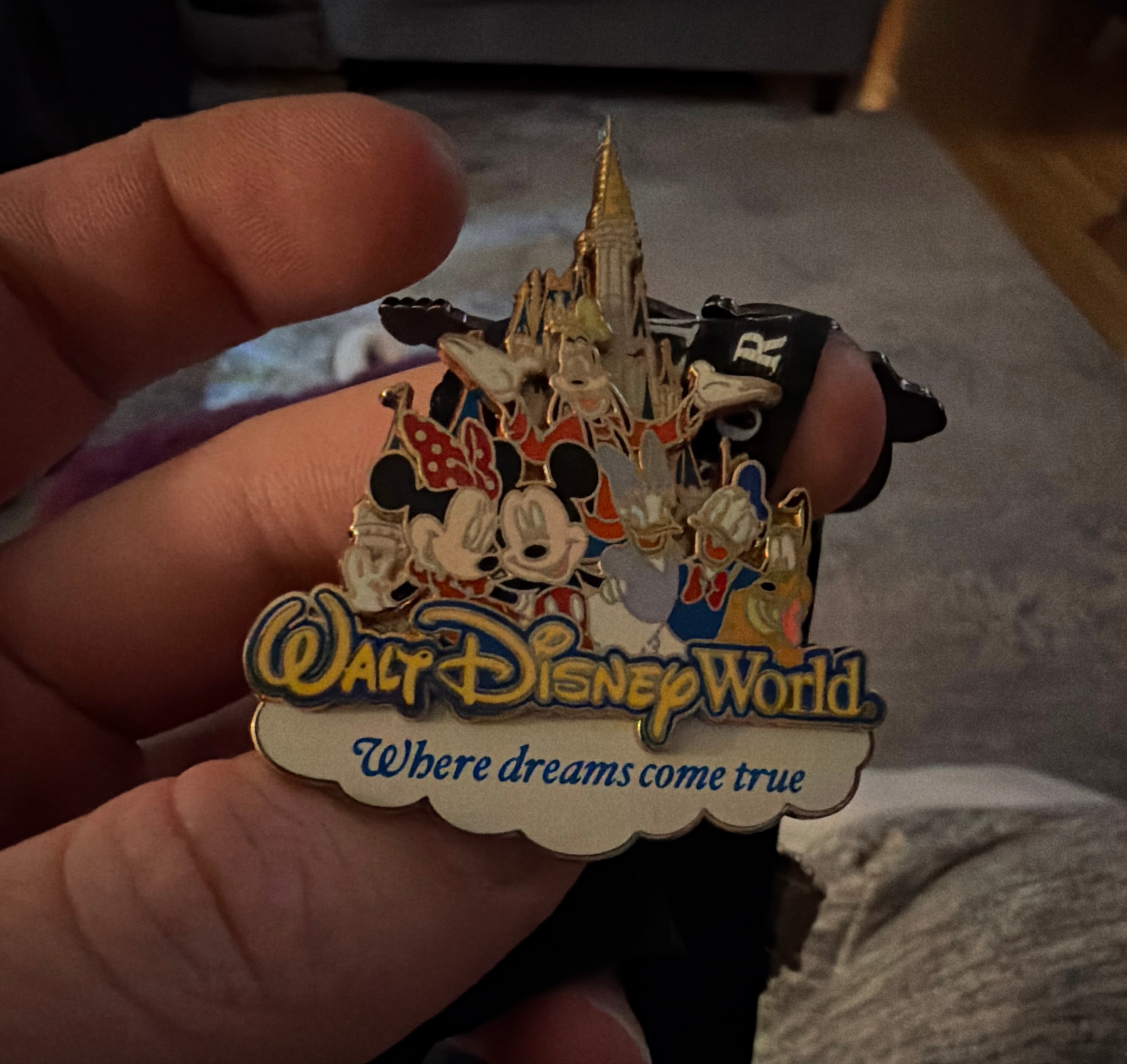 Mickey and Friends Where Dreams Come True Cinderella Castle