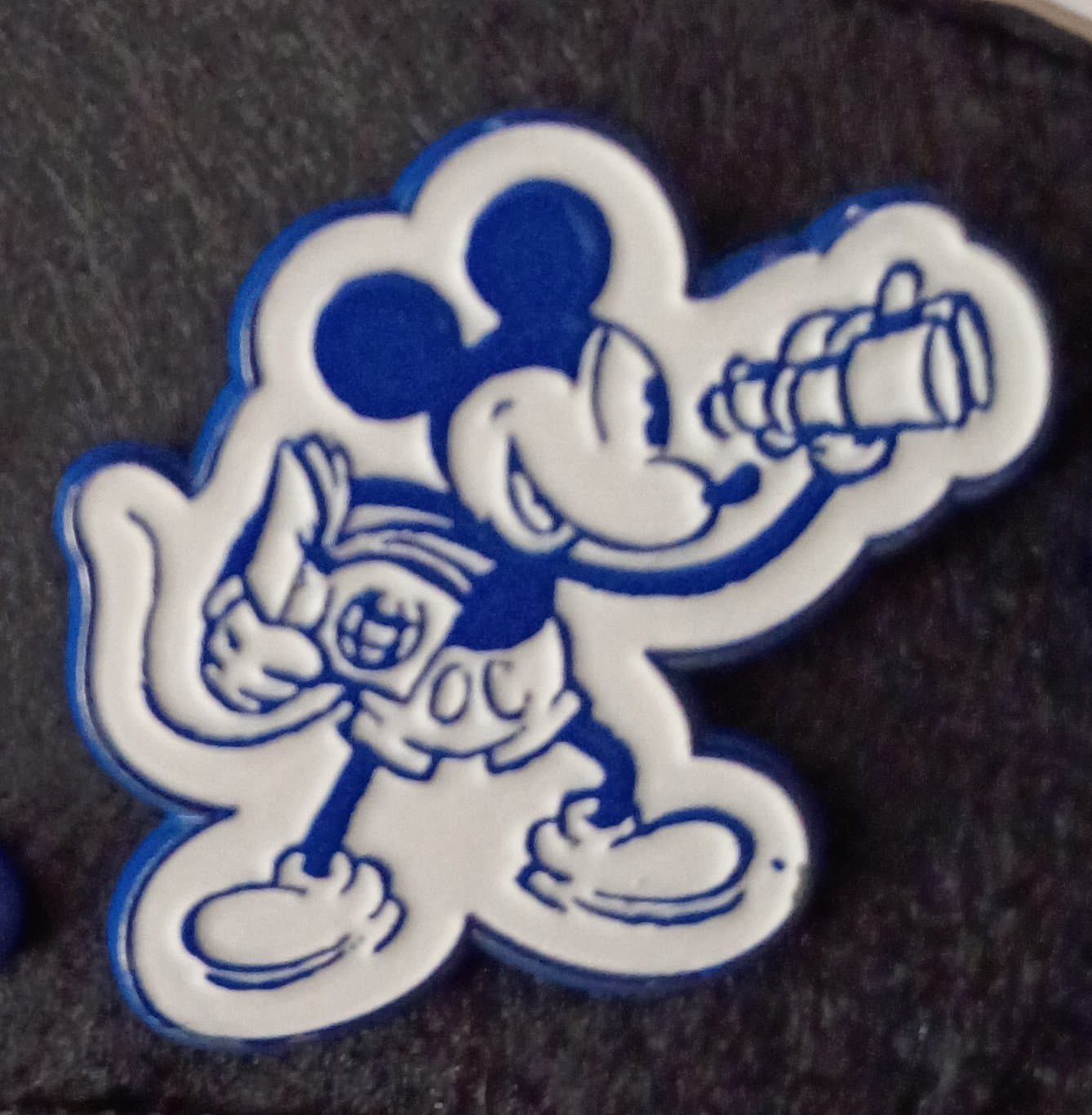 Mickey Sightseeing