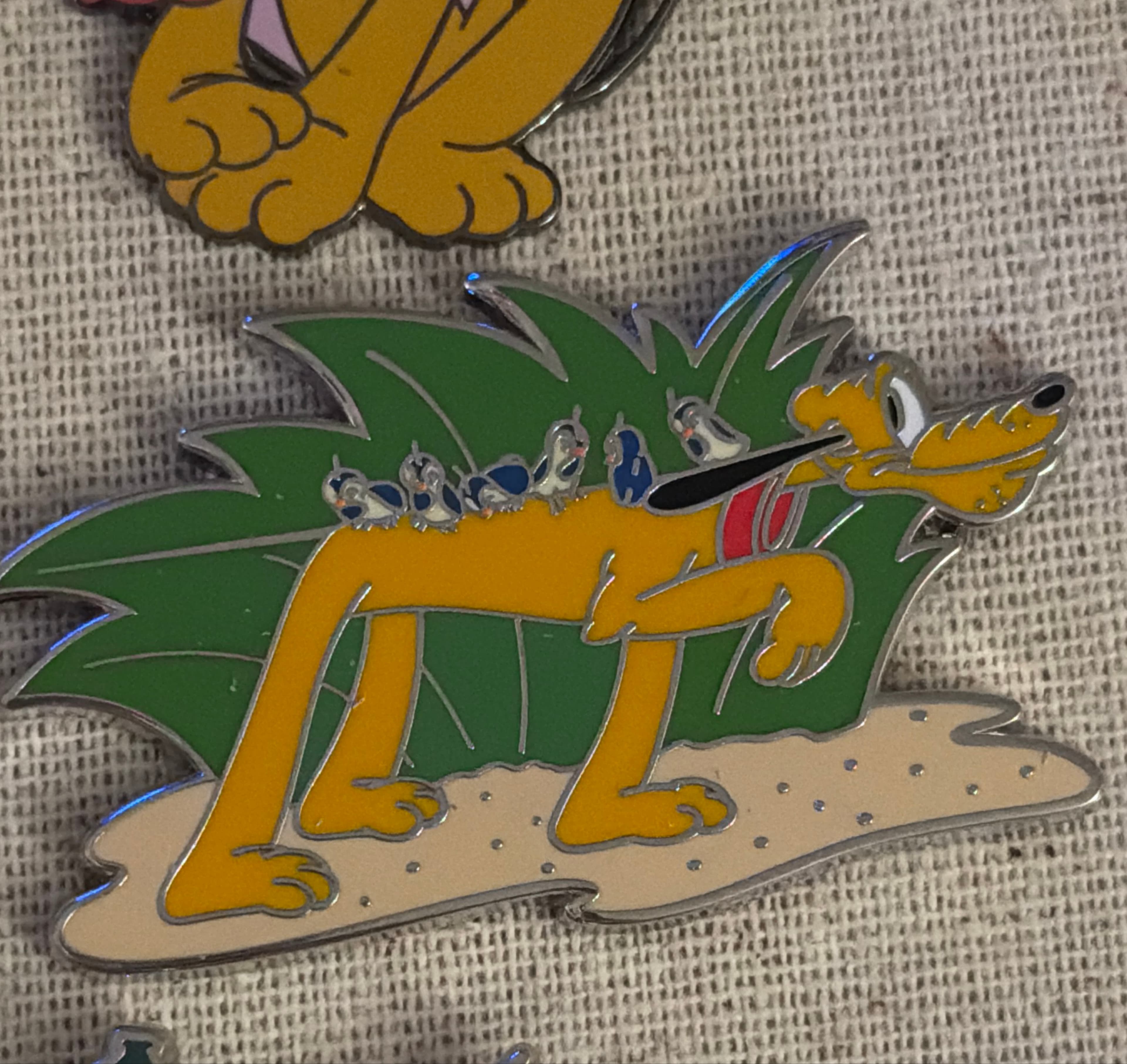 Pluto the Pointer with Birds