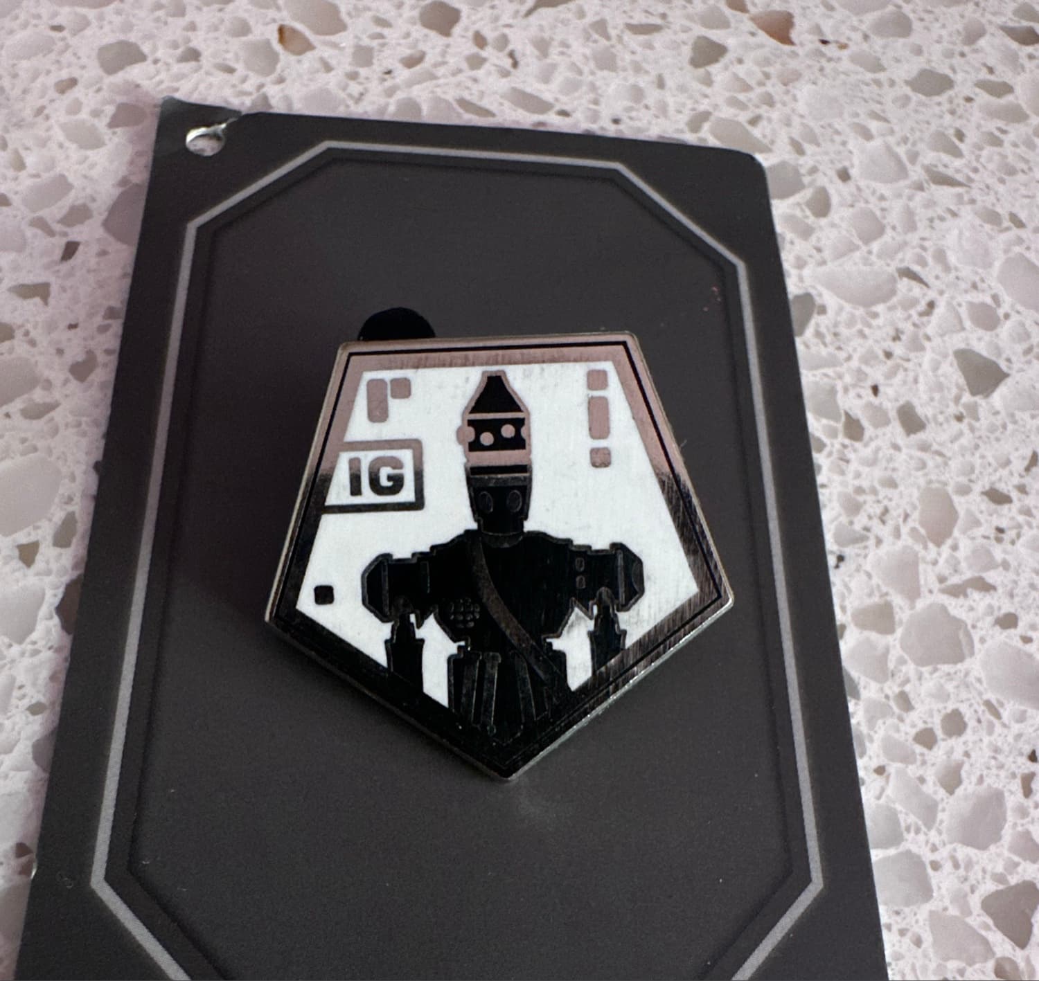 IG-11 front