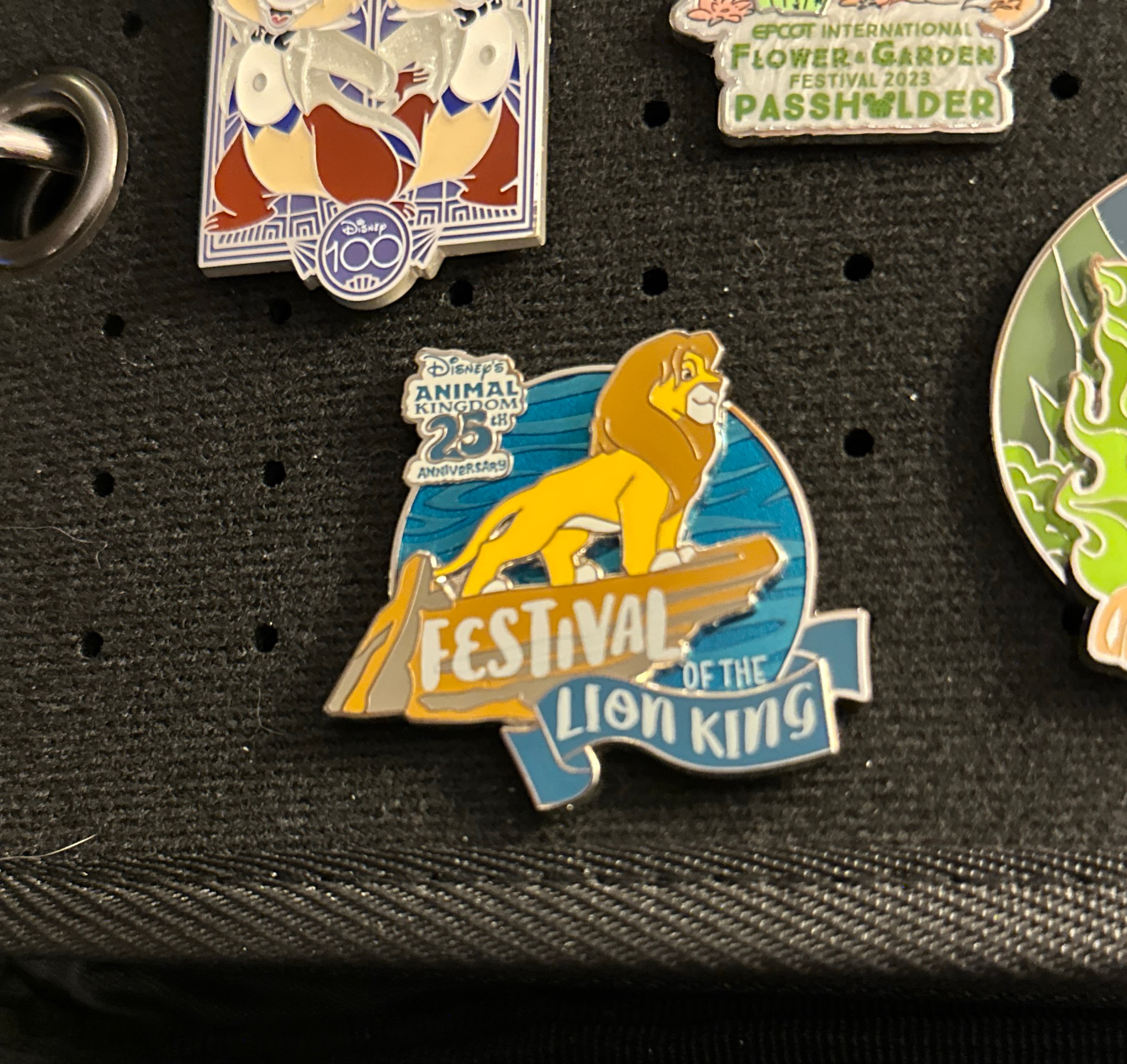 Simba on Pride Rock - Festival of the Lion King - Animal Kingdom 25th Anniversary front