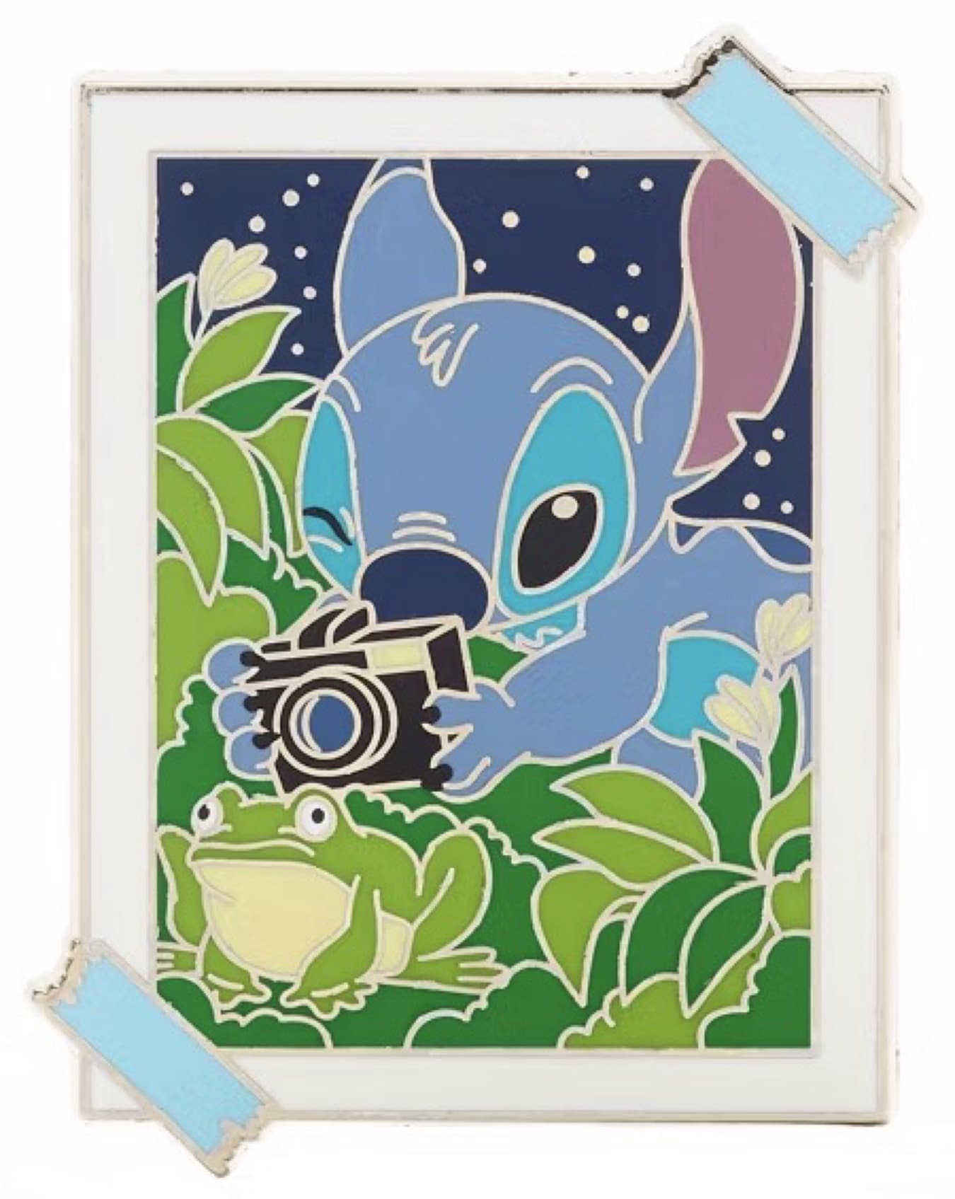 Stitch Photographing a Frog