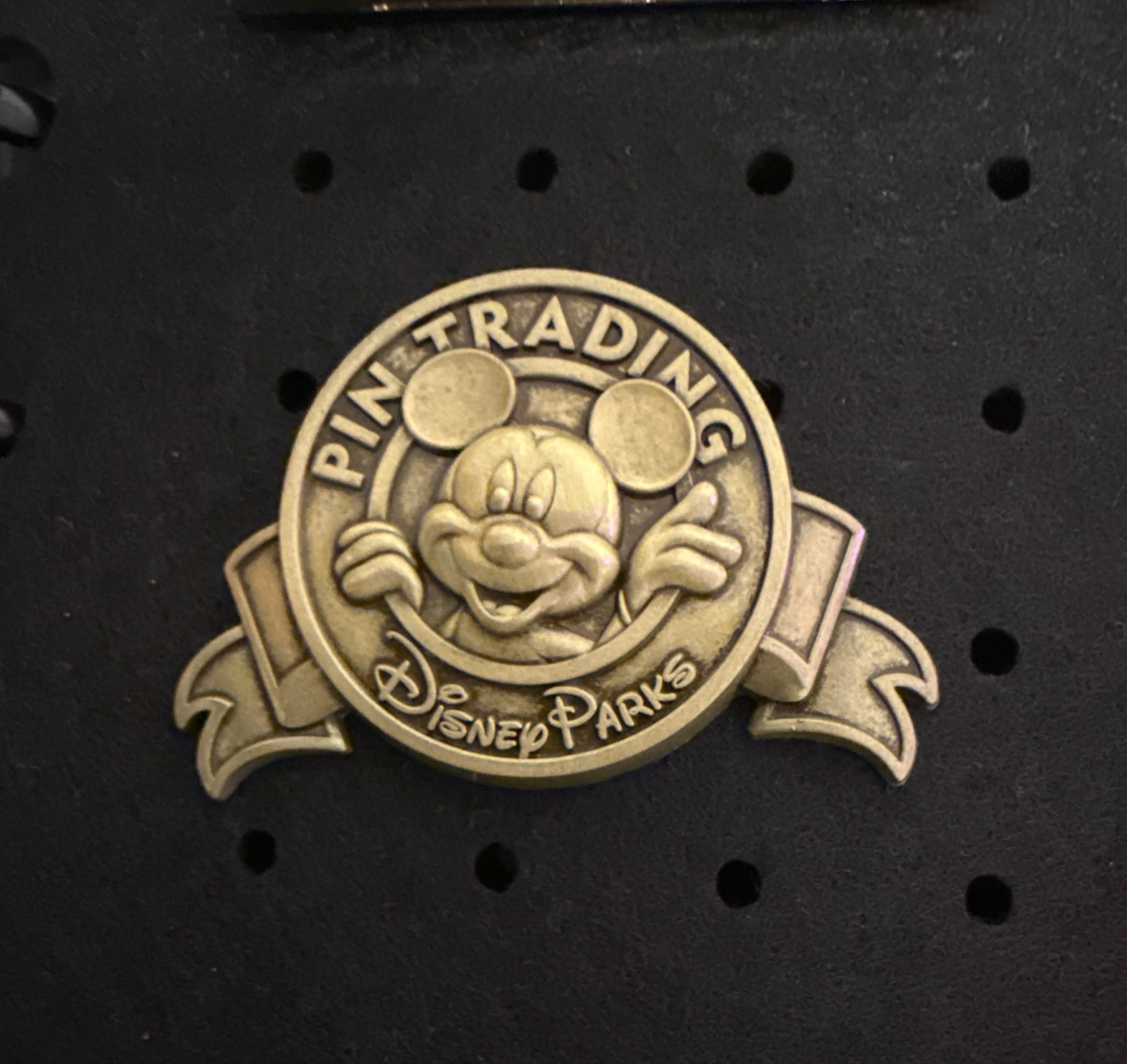 Bronze Pin Trading Logo Banner with Mickey Mouse