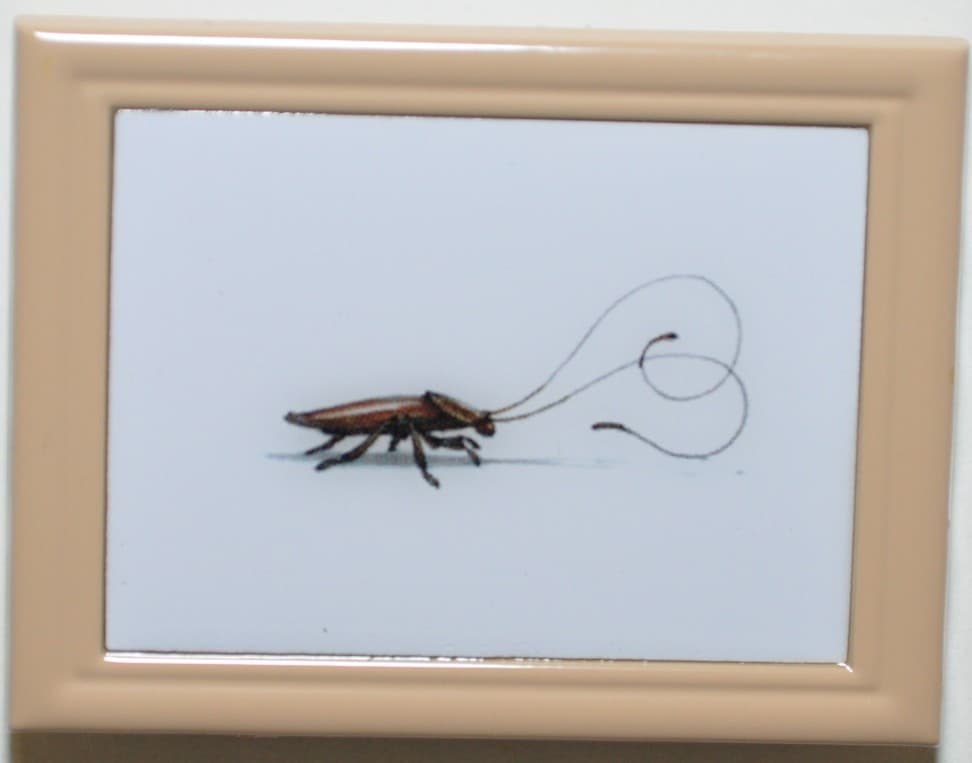 Pixar Animation Studios Framed Set - Wall-E - Cockroach