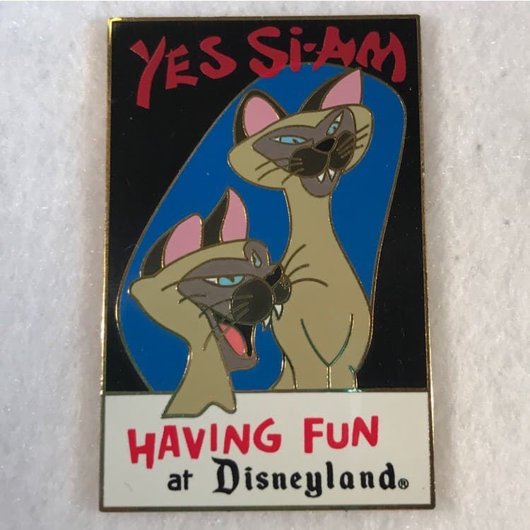 Yes Si-Am Having Fun At Disneyland